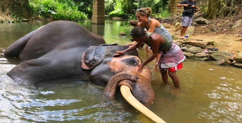 Tours in Sri Lanka - Sri Lanka tailor made holidays