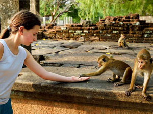 Tours in Sri Lanka - Sri Lanka tailor made holidays