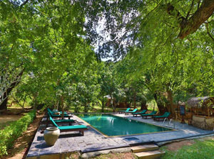 Tours in Sri Lanka - Sri Lanka tailor made holidays