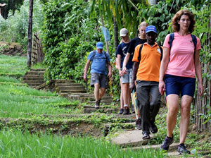Tours in Sri Lanka - Sri Lanka tailor made holidays