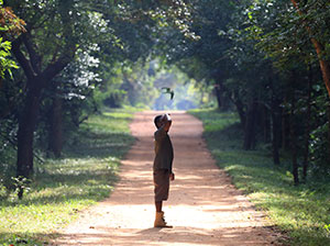 Tours in Sri Lanka - Sri Lanka tailor made holidays