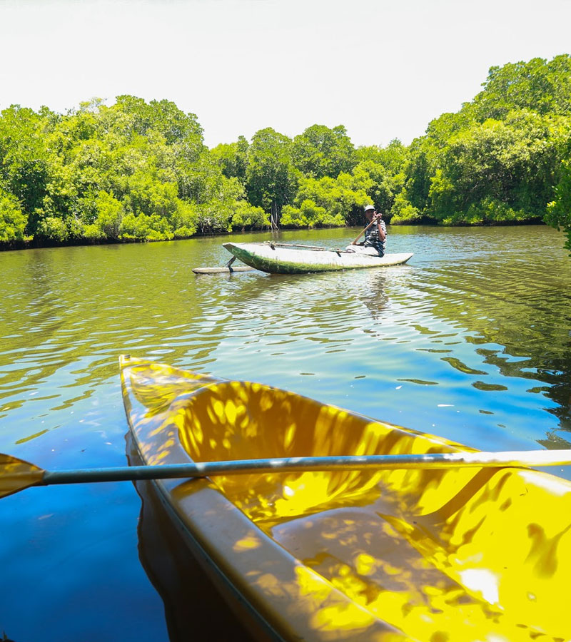 Rekawa Lagoon Canoeing, Sri Lanka - Kayaking in Tangalle Lagoon - Kayak at Rekawa Lagoon - Kayak on Rekawa Lagoon - Things to do in Tangalle - Travel experiences in Sri Lanka