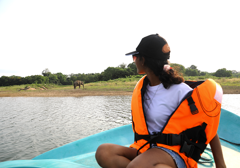 Swimming elephants of Gal Oya, Gal Oya Boat Safaris, Boat Safaris in Gal Oya National Park, Boat Safari in Gal Oya National Park, Safari in Gal Oya National Park, Senanayake Samudraya, Inginiyagala tank, Galoyaboat safari Ampara   