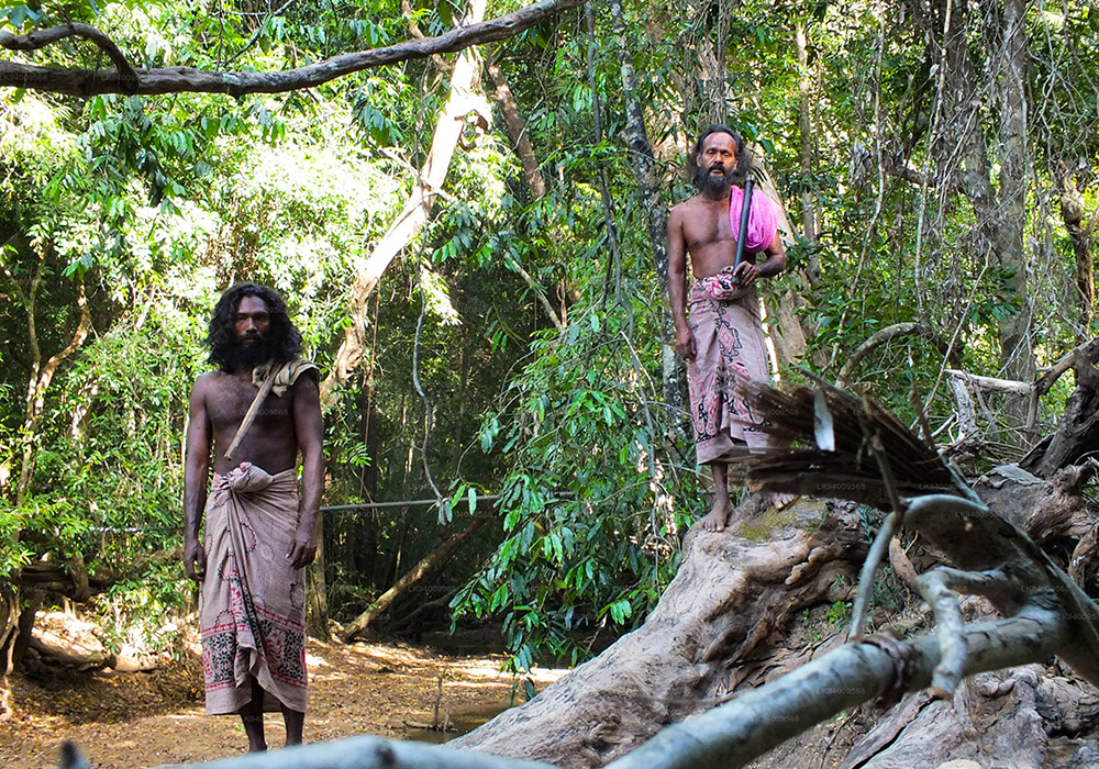 The Indigenous Veddas of Sri Lanka,Vedda village of Sri Lanka, Visit veddas of Sri Lanka, Veddas of Mahiyanganya, Veddas of Dambana, Sri Lankan Veddas