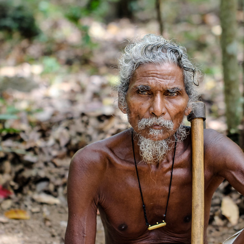 The Indigenous Veddas of Sri Lanka,Vedda village of Sri Lanka, Visit veddas of Sri Lanka, Veddas of Mahiyanganya, Veddas of Dambana, Sri Lankan Veddas