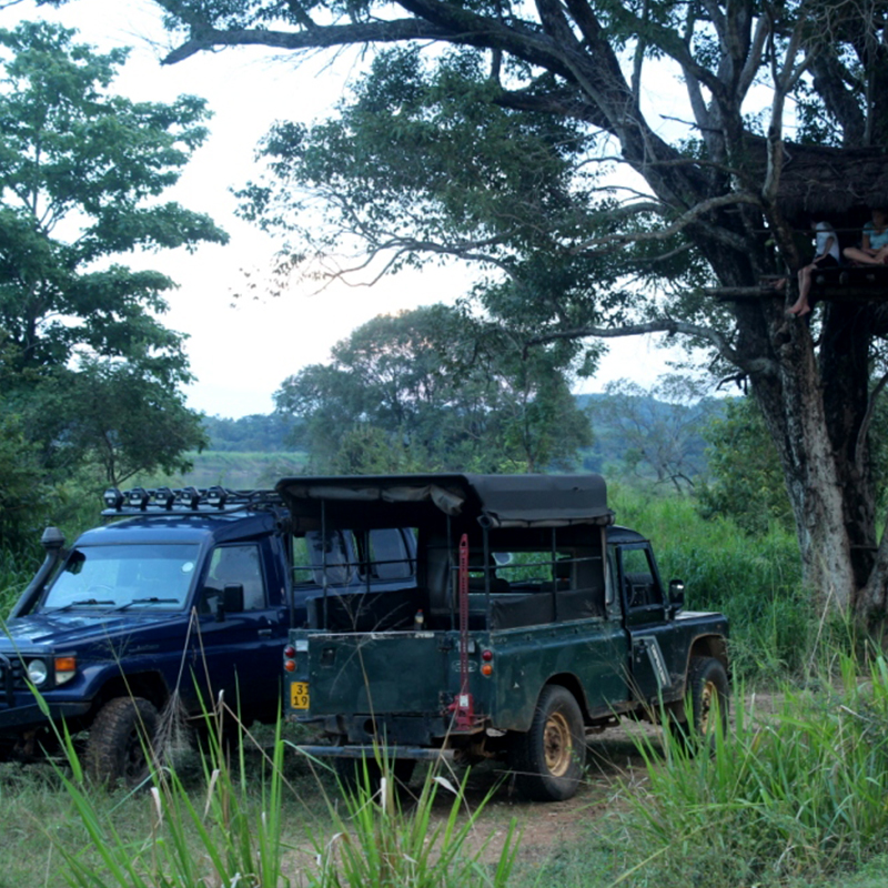 Rock Climbing to Pidurangala - Climbing Pidurangala Rock - Why You Should Visit Pidurangala - Hiking to Pidurangala Rock - Pidurangala Rock Climb
