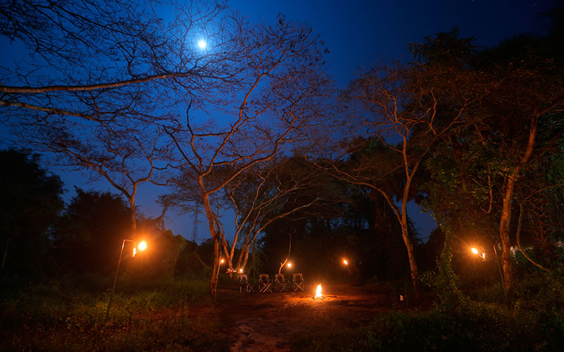 Wilpattu Safari Camp in Sri Lanka - Wilpattu Safari in Sri Lanka - Camping Sri Lanka - Wilpattu Safari Camp - Wilpattu Luxury Safari Camp - Wilpattu luxury tented safari camp - Wilpattu Safari Tented Camp - Wilpattu Safari Camping - Luxury Safari Camping in Wilpattu - Wilpattu National Park tented Safari Camp - Wilpattu Safari Tented Camping in Wilpattu National Park - Wilpattu Safaris Camping Tours - Leopard Watching Tented Safari Camping in Wilpattu - Leopards Watching Camping Safaris in Wilpattu - Camping Safaris in Wilpattu