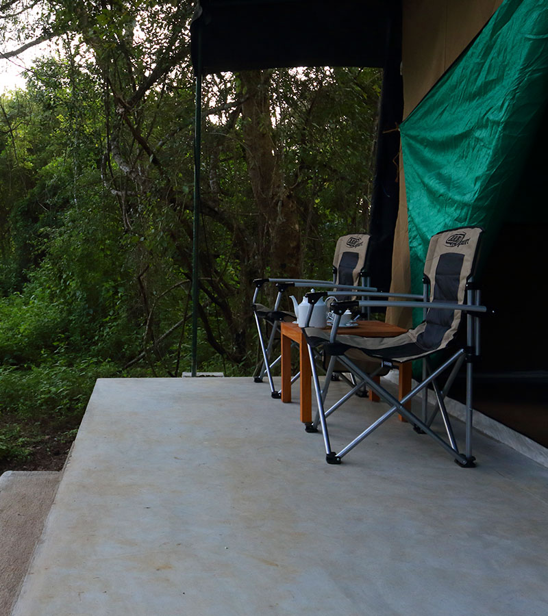 Wilpattu Safari Camp in Sri Lanka - Wilpattu Safari in Sri Lanka - Camping Sri Lanka - Wilpattu Safari Camp - Wilpattu Luxury Safari Camp - Wilpattu luxury tented safari camp - Wilpattu Safari Tented Camp - Wilpattu Safari Camping - Luxury Safari Camping in Wilpattu - Wilpattu National Park tented Safari Camp - Wilpattu Safari Tented Camping in Wilpattu National Park - Wilpattu Safaris Camping Tours - Leopard Watching Tented Safari Camping in Wilpattu - Leopards Watching Camping Safaris in Wilpattu - Camping Safaris in Wilpattu