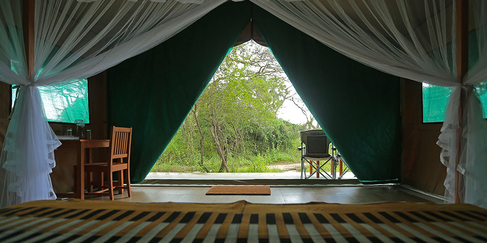 Wilpattu Safari Camp in Sri Lanka - Wilpattu Safari in Sri Lanka - Camping Sri Lanka - Wilpattu Safari Camp - Wilpattu Luxury Safari Camp - Wilpattu luxury tented safari camp - Wilpattu Safari Tented Camp - Wilpattu Safari Camping - Luxury Safari Camping in Wilpattu - Wilpattu National Park tented Safari Camp - Wilpattu Safari Tented Camping in Wilpattu National Park - Wilpattu Safaris Camping Tours - Leopard Watching Tented Safari Camping in Wilpattu - Leopards Watching Camping Safaris in Wilpattu - Camping Safaris in Wilpattu