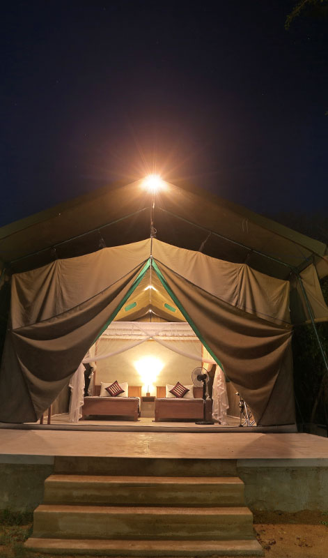 Wilpattu Safari Camp in Sri Lanka - Wilpattu Safari in Sri Lanka - Camping Sri Lanka - Wilpattu Safari Camp - Wilpattu Luxury Safari Camp - Wilpattu luxury tented safari camp - Wilpattu Safari Tented Camp - Wilpattu Safari Camping - Luxury Safari Camping in Wilpattu - Wilpattu National Park tented Safari Camp - Wilpattu Safari Tented Camping in Wilpattu National Park - Wilpattu Safaris Camping Tours - Leopard Watching Tented Safari Camping in Wilpattu - Leopards Watching Camping Safaris in Wilpattu - Camping Safaris in Wilpattu