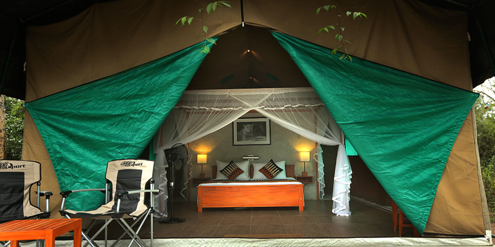 Wilpattu Safari Camp in Sri Lanka - Wilpattu Safari in Sri Lanka - Camping Sri Lanka - Wilpattu Safari Camp - Wilpattu Luxury Safari Camp - Wilpattu luxury tented safari camp - Wilpattu Safari Tented Camp - Wilpattu Safari Camping - Luxury Safari Camping in Wilpattu - Wilpattu National Park tented Safari Camp - Wilpattu Safari Tented Camping in Wilpattu National Park - Wilpattu Safaris Camping Tours - Leopard Watching Tented Safari Camping in Wilpattu - Leopards Watching Camping Safaris in Wilpattu - Camping Safaris in Wilpattu