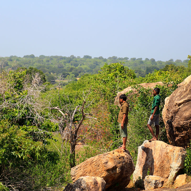 Village Walk in yala - Yala Village Walk - Explore Villages in Yala - Village Walk by foot or Cycle - Village Cycling Trips in Yala - Yala - Sri Lanka - Holidays - Tailor Made Tours