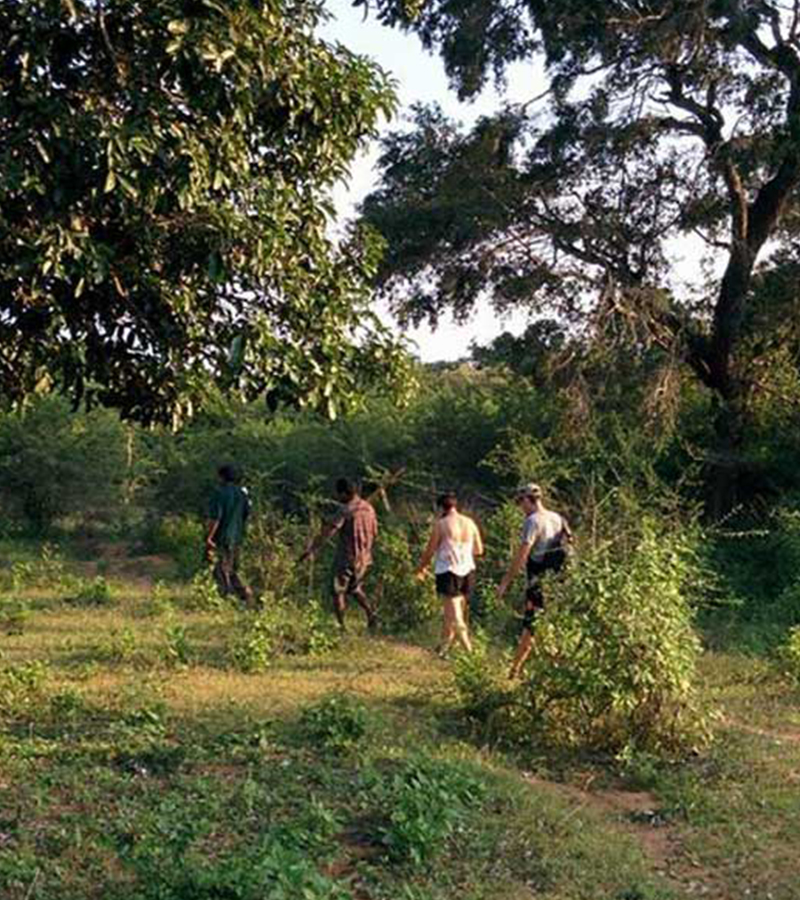 Village Walk in yala - Yala Village Walk - Explore Villages in Yala - Village Walk by foot or Cycle - Village Cycling Trips in Yala - Yala - Sri Lanka - Holidays - Tailor Made Tours