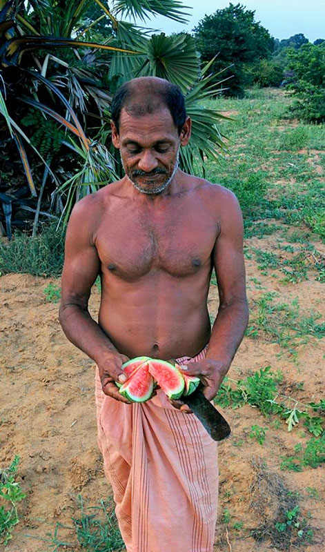 Village Walk in yala - Yala Village Walk - Explore Villages in Yala - Village Walk by foot or Cycle - Village Cycling Trips in Yala - Yala - Sri Lanka - Holidays - Tailor Made Tours
