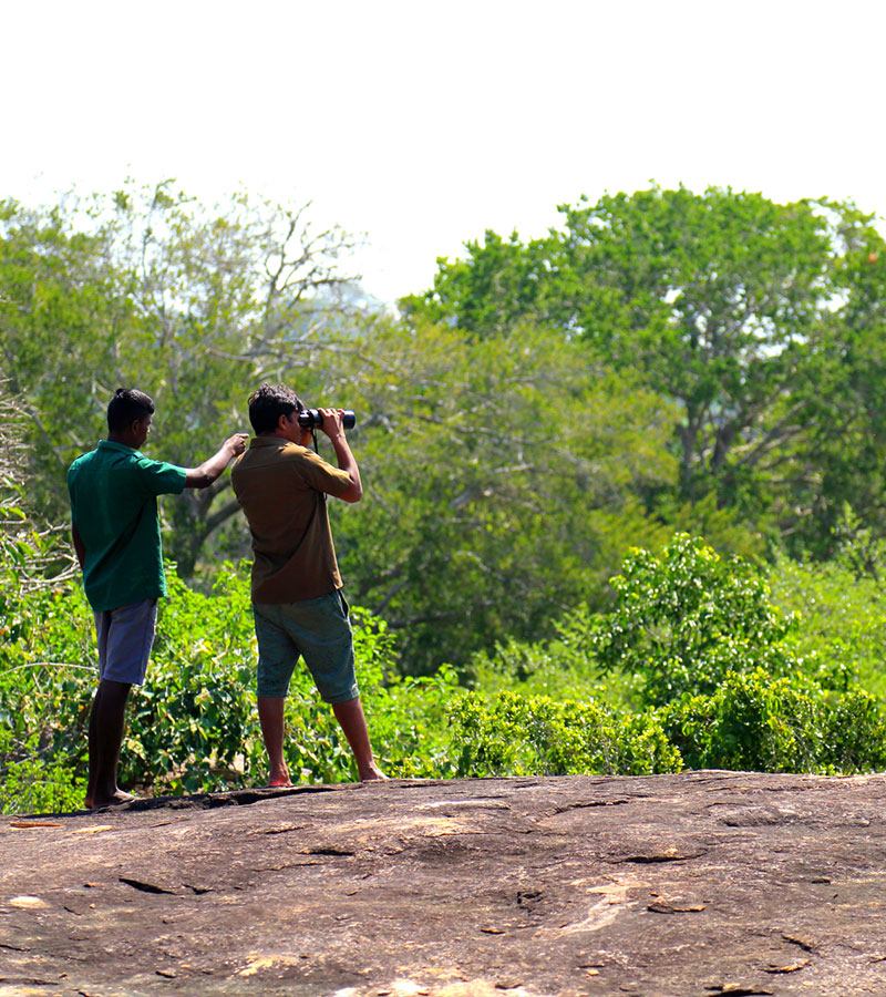 Village Walk in yala - Yala Village Walk - Explore Villages in Yala - Village Walk by foot or Cycle - Village Cycling Trips in Yala - Yala - Sri Lanka - Holidays - Tailor Made Tours