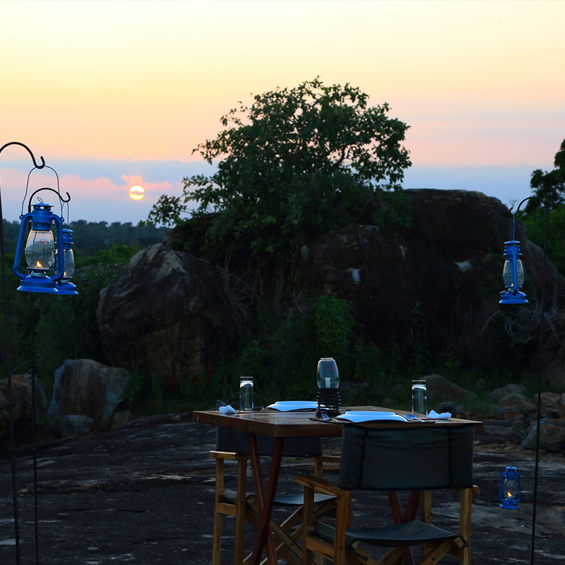 Yala Safari Camp - Leopards Watching Camping Safaris in Yala - Yala Luxury Safari Camp - Safari Camping in Yala - Yala luxury tented safari camp - Yala Safari Camping - Yala Safari Tented Camp - Yala Safari Camping - Luxury Safari Camping in Yala - Yala National Park tented Safari Camp - Yala Safari Tented Camping in Yala National Park - Yala Safaris Camping Tours - Leopard Watching Tented Safari Camping in Yala - Camping Safaris in Yala - Yala Luxury Tented Safari Camp - Safaris Camps in Yala National Park - Yala Safari Camping Tours by - Yala Safari Tented Camping Tours - Leopards Safari Camp - Yala Luxury Leopards Safari Camp - Leopards Safaris in Yala