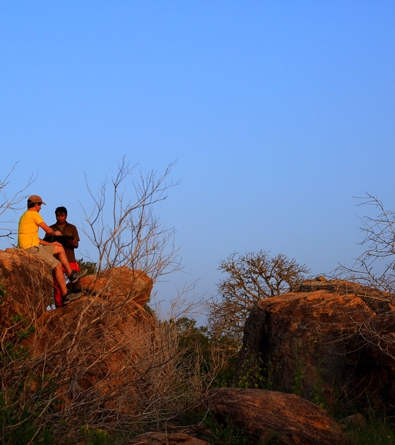 Yala Safari Camp - Leopards Watching Camping Safaris in Yala - Yala Luxury Safari Camp - Safari Camping in Yala - Yala luxury tented safari camp - Yala Safari Camping - Yala Safari Tented Camp - Yala Safari Camping - Luxury Safari Camping in Yala - Yala National Park tented Safari Camp - Yala Safari Tented Camping in Yala National Park - Yala Safaris Camping Tours - Leopard Watching Tented Safari Camping in Yala - Camping Safaris in Yala - Yala Luxury Tented Safari Camp - Safaris Camps in Yala National Park - Yala Safari Camping Tours by - Yala Safari Tented Camping Tours - Leopards Safari Camp - Yala Luxury Leopards Safari Camp - Leopards Safaris in Yala