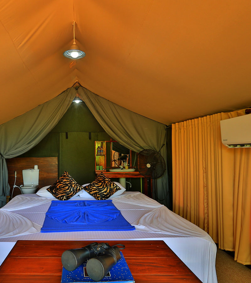 Yala Safari Camp - Leopards Watching Camping Safaris in Yala - Yala Luxury Safari Camp - Safari Camping in Yala - Yala luxury tented safari camp - Yala Safari Camping - Yala Safari Tented Camp - Yala Safari Camping - Luxury Safari Camping in Yala - Yala National Park tented Safari Camp - Yala Safari Tented Camping in Yala National Park - Yala Safaris Camping Tours - Leopard Watching Tented Safari Camping in Yala - Camping Safaris in Yala - Yala Luxury Tented Safari Camp - Safaris Camps in Yala National Park - Yala Safari Camping Tours by - Yala Safari Tented Camping Tours - Leopards Safari Camp - Yala Luxury Leopards Safari Camp - Leopards Safaris in Yala