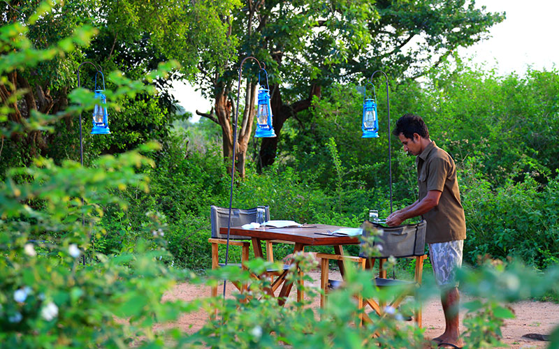 Yala Safari Camp - Leopards Watching Camping Safaris in Yala - Yala Luxury Safari Camp - Safari Camping in Yala - Yala luxury tented safari camp - Yala Safari Camping - Yala Safari Tented Camp - Yala Safari Camping - Luxury Safari Camping in Yala - Yala National Park tented Safari Camp - Yala Safari Tented Camping in Yala National Park - Yala Safaris Camping Tours - Leopard Watching Tented Safari Camping in Yala - Camping Safaris in Yala - Yala Luxury Tented Safari Camp - Safaris Camps in Yala National Park - Yala Safari Camping Tours by - Yala Safari Tented Camping Tours - Leopards Safari Camp - Yala Luxury Leopards Safari Camp - Leopards Safaris in Yala