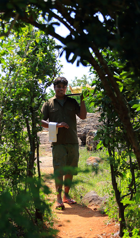 Yala Safari Camp - Leopards Watching Camping Safaris in Yala - Yala Luxury Safari Camp - Safari Camping in Yala - Yala luxury tented safari camp - Yala Safari Camping - Yala Safari Tented Camp - Yala Safari Camping - Luxury Safari Camping in Yala - Yala National Park tented Safari Camp - Yala Safari Tented Camping in Yala National Park - Yala Safaris Camping Tours - Leopard Watching Tented Safari Camping in Yala - Camping Safaris in Yala - Yala Luxury Tented Safari Camp - Safaris Camps in Yala National Park - Yala Safari Camping Tours by - Yala Safari Tented Camping Tours - Leopards Safari Camp - Yala Luxury Leopards Safari Camp - Leopards Safaris in Yala
