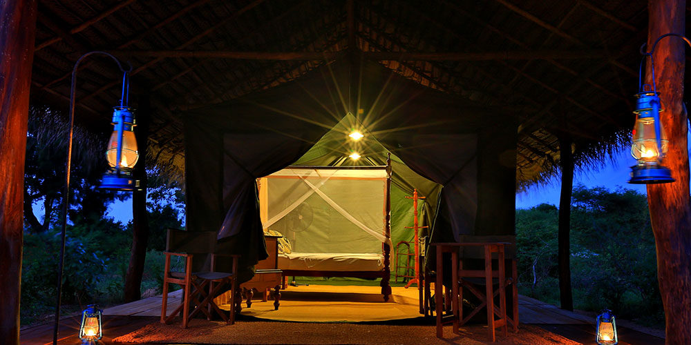 Yala Safari Camp - Leopards Watching Camping Safaris in Yala - Yala Luxury Safari Camp - Safari Camping in Yala - Yala luxury tented safari camp - Yala Safari Camping - Yala Safari Tented Camp - Yala Safari Camping - Luxury Safari Camping in Yala - Yala National Park tented Safari Camp - Yala Safari Tented Camping in Yala National Park - Yala Safaris Camping Tours - Leopard Watching Tented Safari Camping in Yala - Camping Safaris in Yala - Yala Luxury Tented Safari Camp - Safaris Camps in Yala National Park - Yala Safari Camping Tours by - Yala Safari Tented Camping Tours - Leopards Safari Camp - Yala Luxury Leopards Safari Camp - Leopards Safaris in Yala